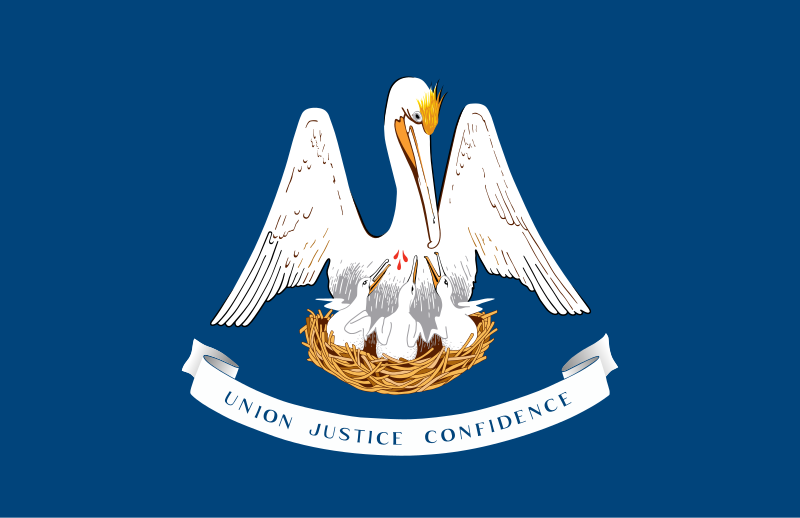 Louisiana Criminal Defense Lawyer
